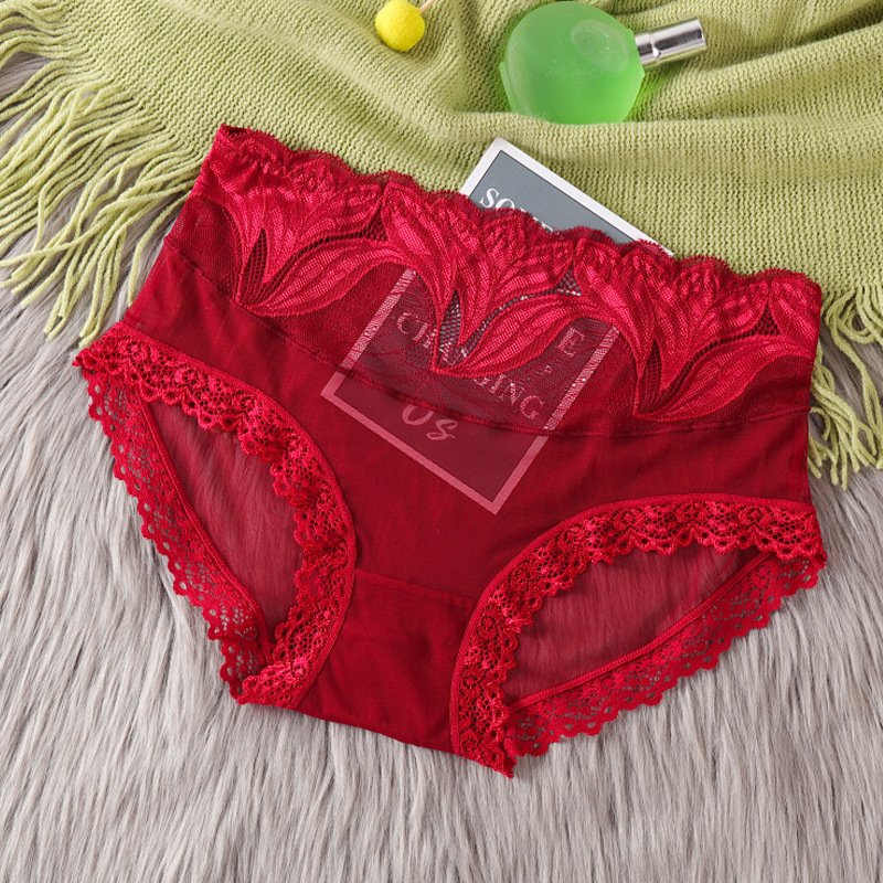 Casual Lace Lace Plain Panty