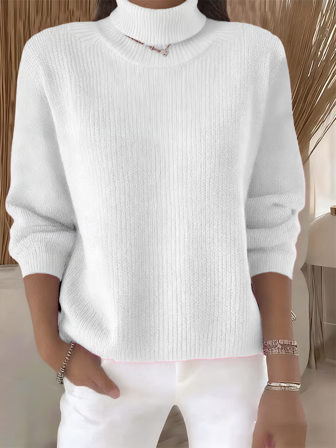 Regular Fit Casual Plain Turtleneck Sweater