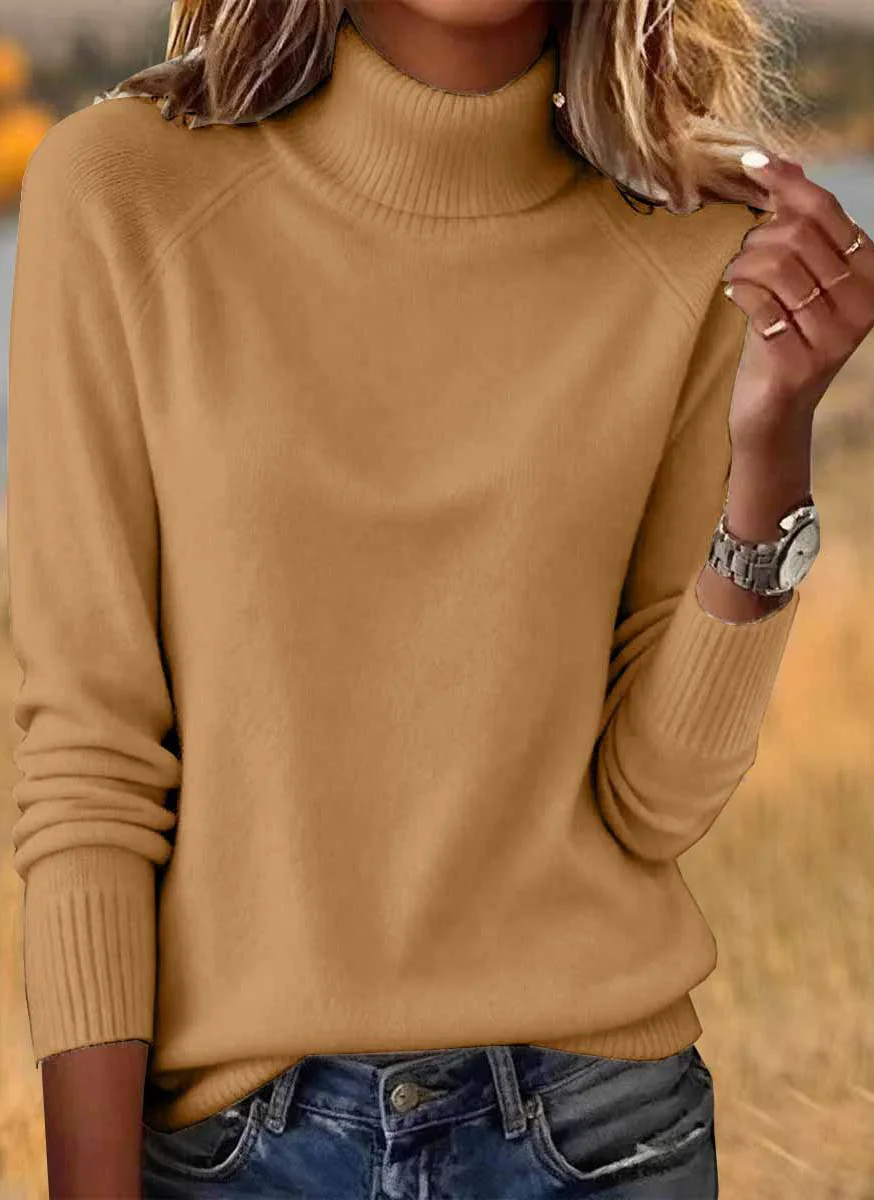 Casual Turtleneck Sweater