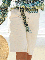 Solid Casual Cotton Shorts