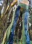 Vintage Cotton Pants
