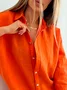 Casual Plain Blouse