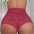 Lace Casual Plain Panty