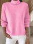 Regular Fit Casual Plain Turtleneck Sweater